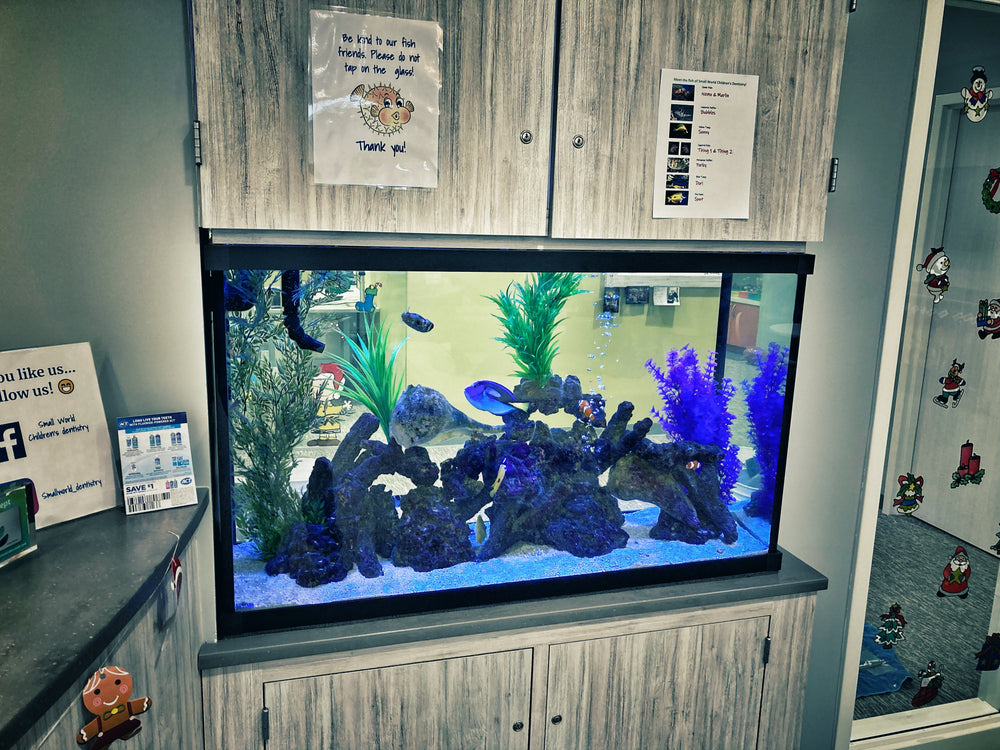 Commercial aquarium display
