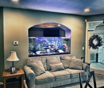 Residential aquarium designed for a home