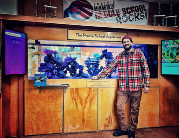 Educational aquarium exhibit in a school